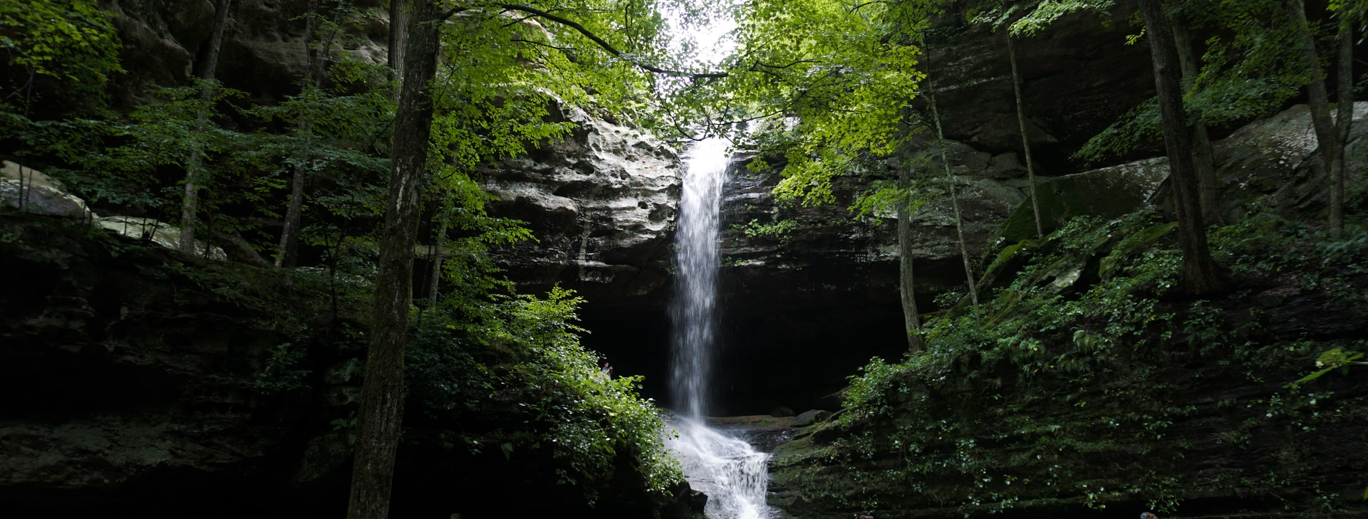 Paduri si biodiversitate - Garda Națională de Mediu